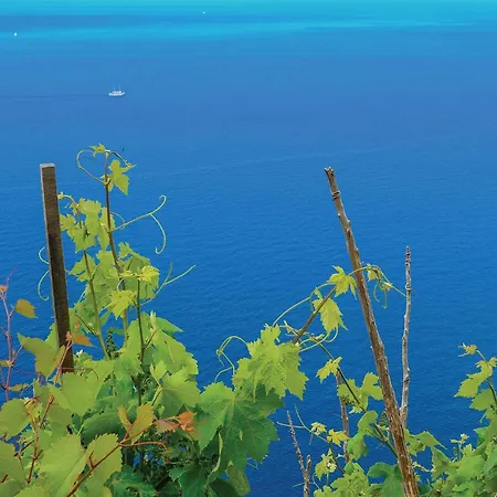 Awesome In With Wifi